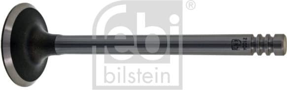 Intake Valve 21004