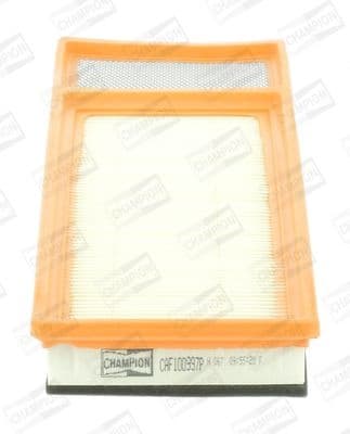 Filter air CAF100997P