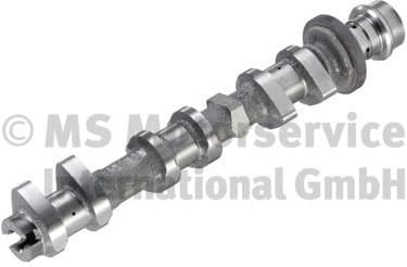 Camshaft 50056023