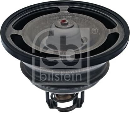 Thermostat, coolant 44162