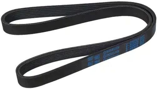 V-ribbed Belt 06-01087-SX