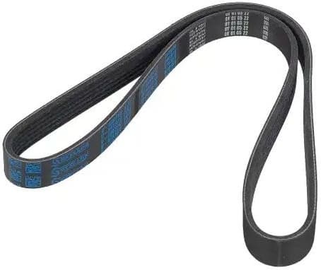 V-ribbed Belt 06-00986-SX - image 2