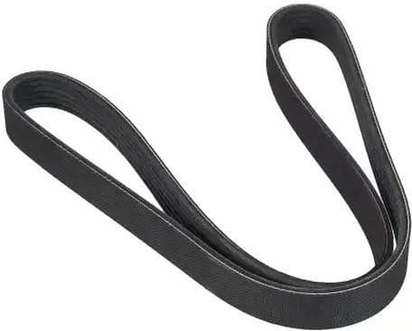 V-ribbed Belt 06-00986-SX - image 3