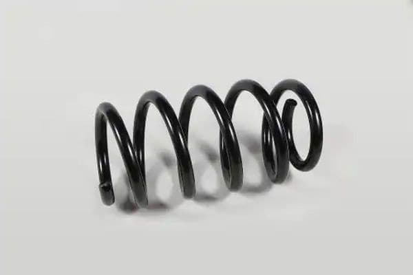 Coil spring 10-23646-SX