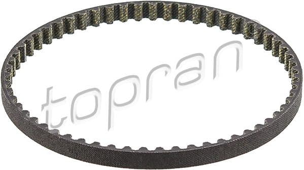 Timing Belt 116 879
