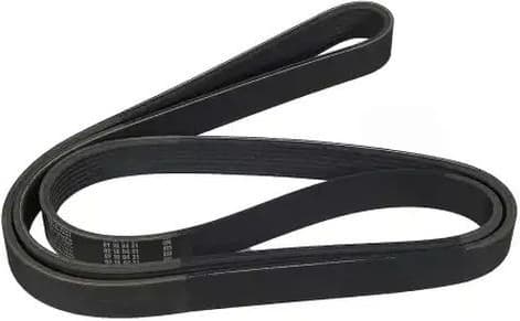 V-ribbed Belt 07-01666-SX - image 3