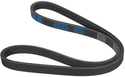 V-ribbed Belt 04-00805-SX - image 2