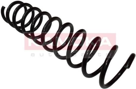 Coil spring 2120324