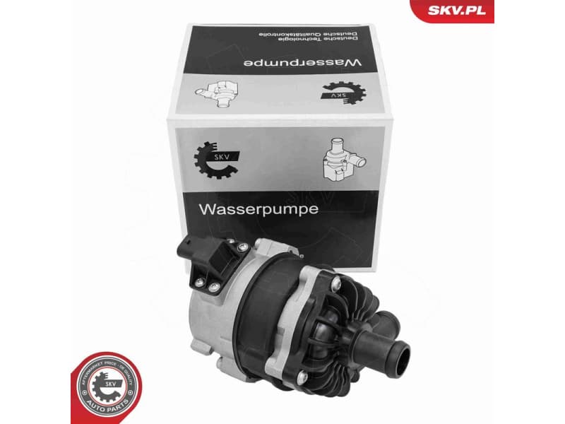 Auxiliary Water Pump (cooling water circuit) 22SKV074