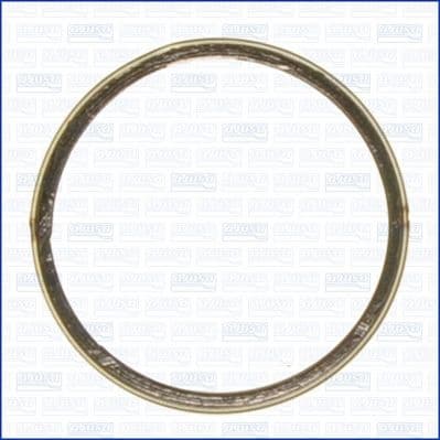 Seal Ring, exhaust pipe 19005300