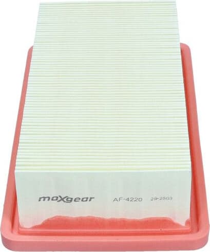 Air Filter 26-2862