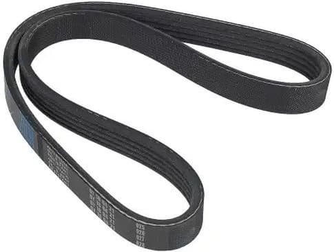 V-ribbed Belt 05-00698-SX
