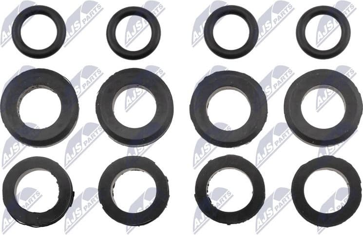 Seal Ring, injector BWP-MZ-001