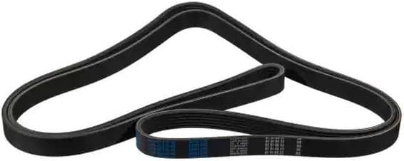 V-ribbed Belt 06-02370-SX