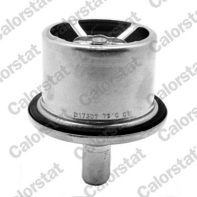 Thermostat, coolant THS1909987