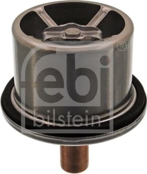 Thermostat, coolant 39858