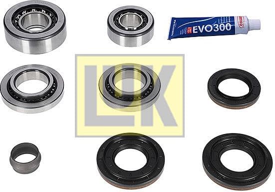 Repair Kit, differential LuK GearBOX 462021510
