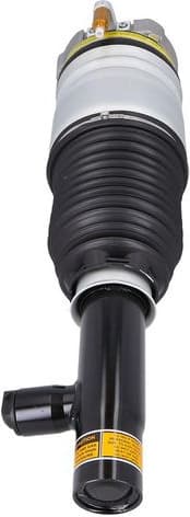 Air Suspension Strut 2070067