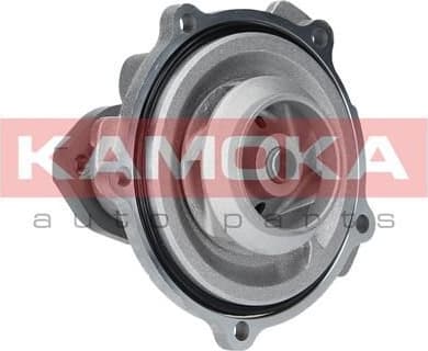 Water Pump, engine cooling T0038