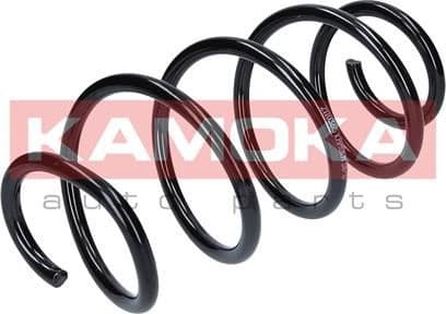 Coil spring 2110365