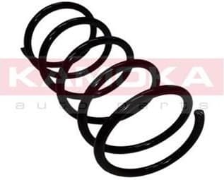 Coil spring 2110165