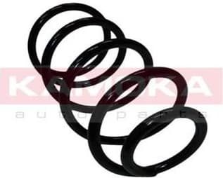 Coil spring 2110150