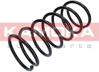 Coil spring 2110136