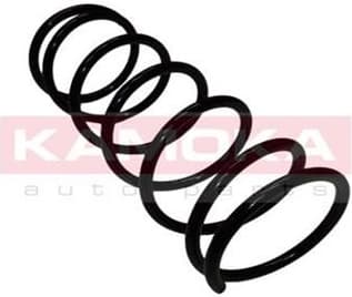 Coil spring 2110122