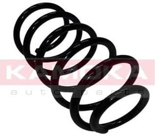 Coil spring 2110118