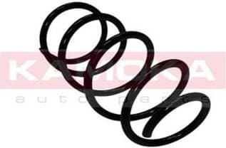 Coil spring 2110113