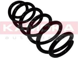 Coil spring 2110104