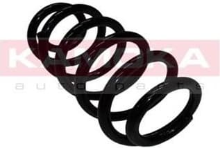 Coil spring 2110103