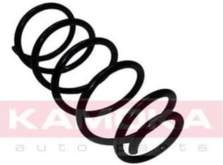 Coil spring 2110099