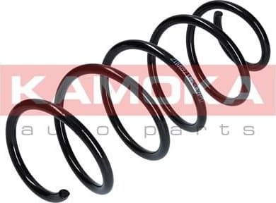 Coil spring 2110097