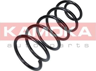 Coil spring 2110076