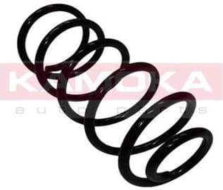 Coil spring 2110068