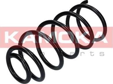 Coil spring 2110060