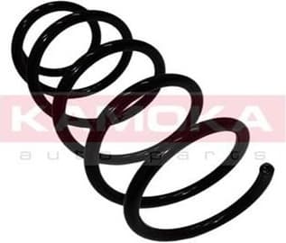 Coil spring 2110054