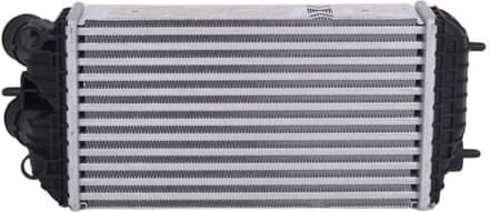 Charge Air Cooler 7750160 - image 2