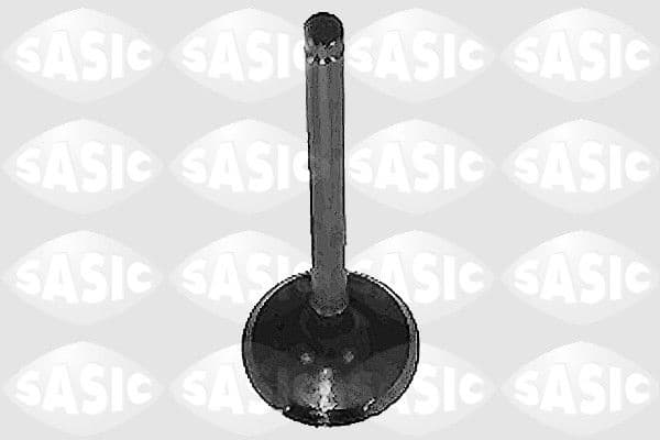 Intake Valve 4000915
