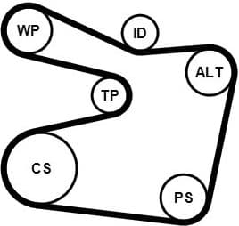 V-ribbed Belt Set 6PK1555K2 - image 2