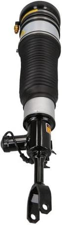 Air Suspension Strut 2070075