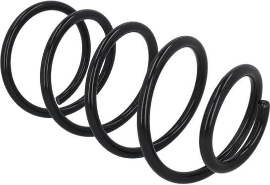 Suspension Spring 2110519 - image 3