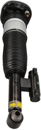 Air Suspension Strut 2070102