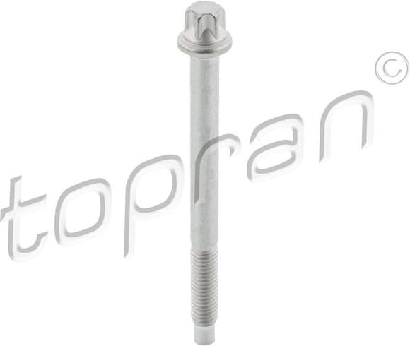 Screw, injection nozzle holder 306 296