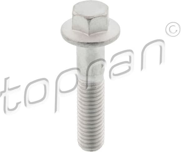 Screw, injection nozzle holder 306 295