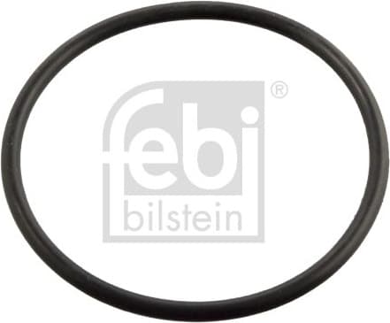 Seal, thermostat 11443