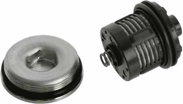 Hydraulic Filter, multi-plate clutch (all-wheel drive) 5961.308.229