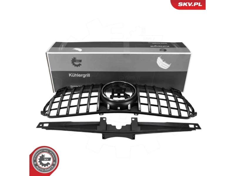 Radiator Grille 66SKV581