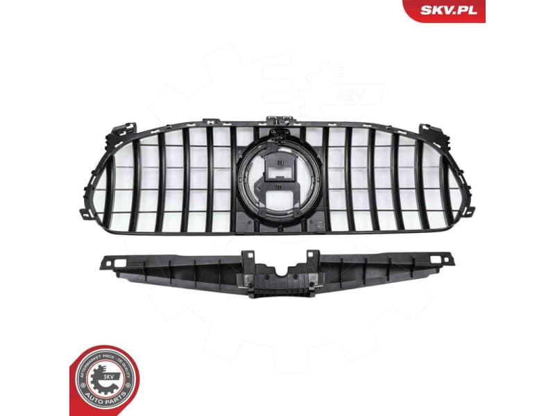 Radiator Grille 66SKV581 - image 2